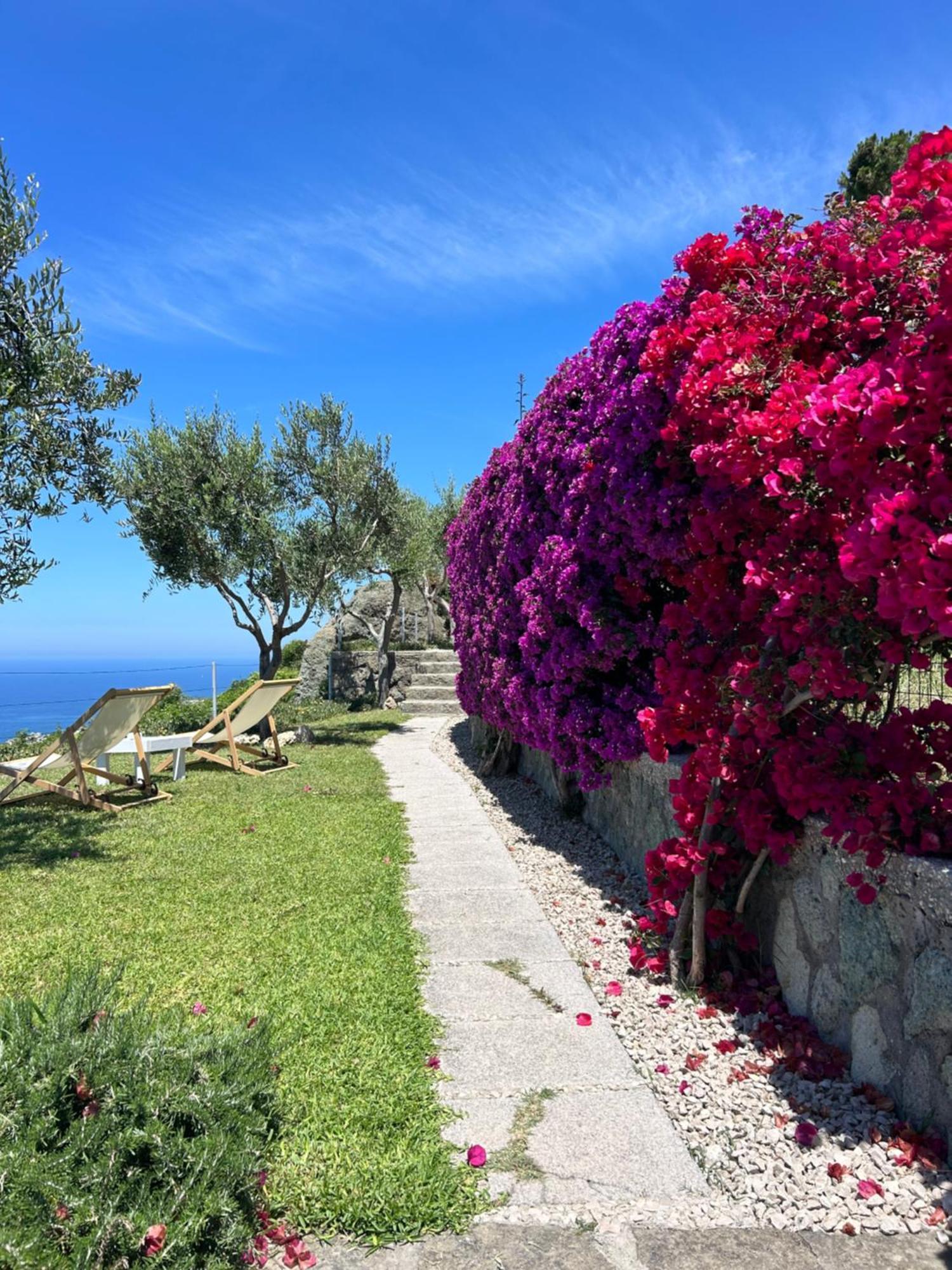 Villa Inarime イスキア島 エクステリア 写真