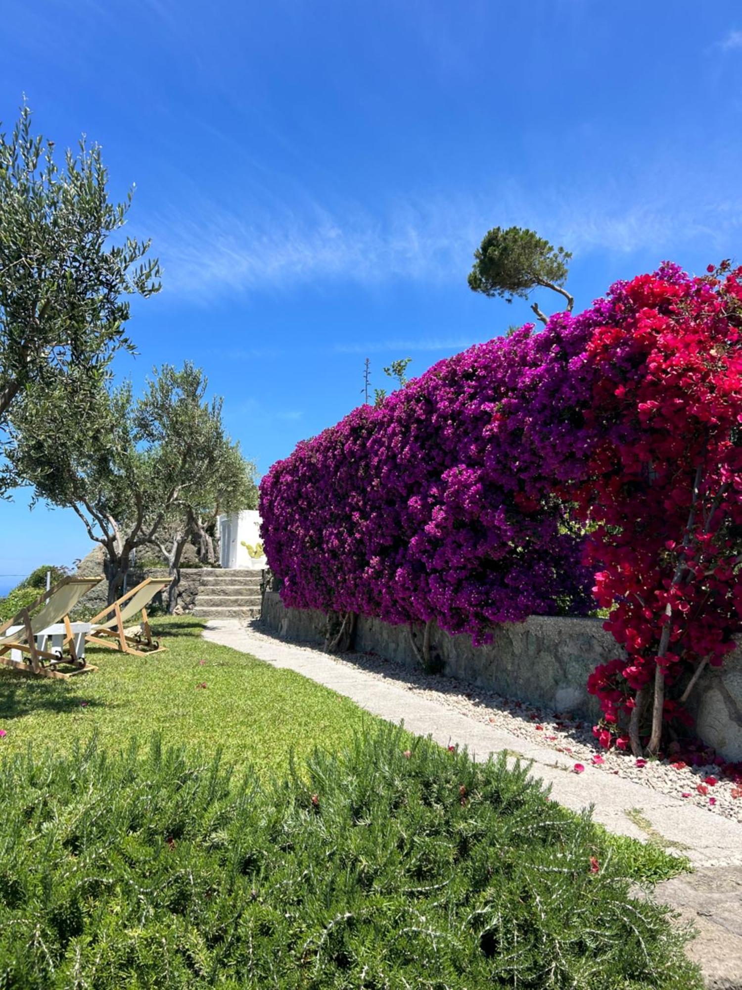 Villa Inarime イスキア島 エクステリア 写真