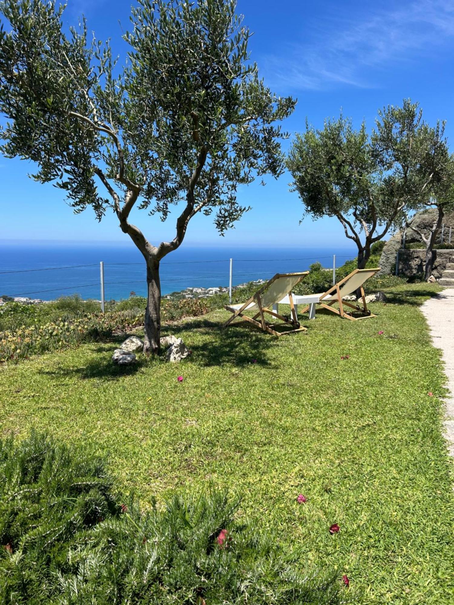 Villa Inarime イスキア島 エクステリア 写真