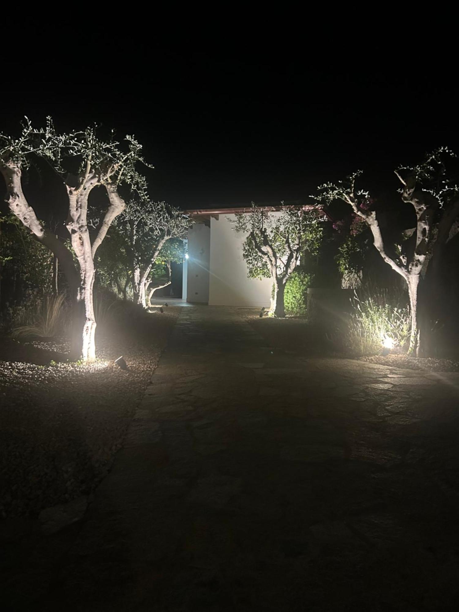 Villa Inarime イスキア島 エクステリア 写真
