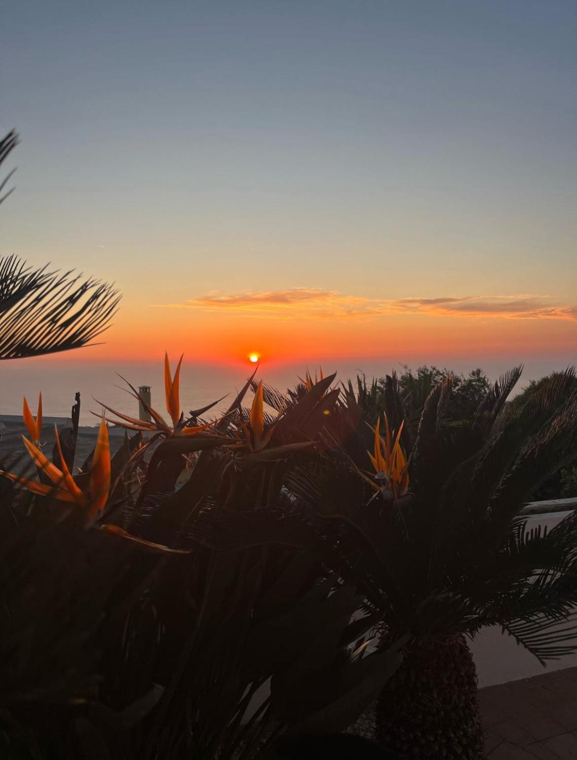Villa Inarime イスキア島 エクステリア 写真