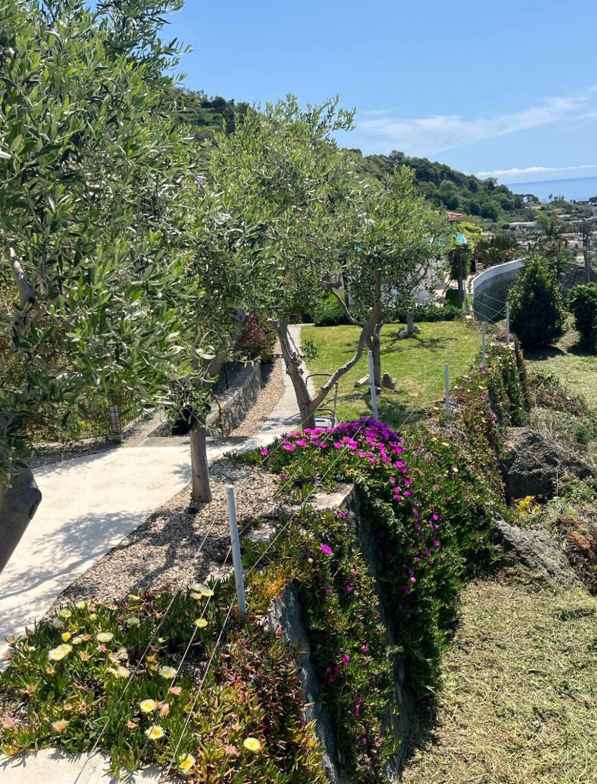 Villa Inarime イスキア島 エクステリア 写真